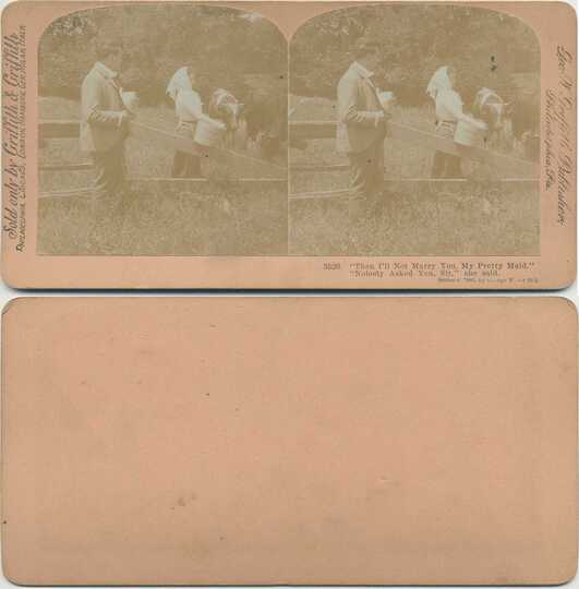 Rural Flirtation with Cow