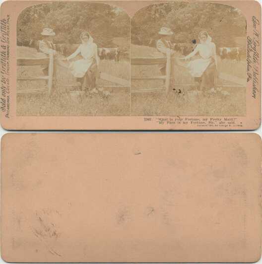 Rural Couple by Fence with Cows