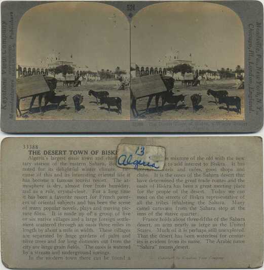Biskra Desert Town Scene