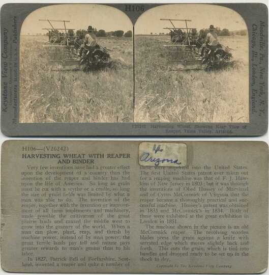 Harvesting Wheat with Reaper