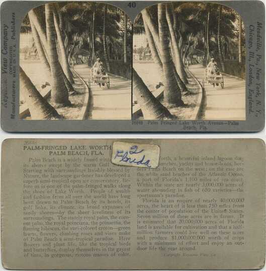Rickshaw on Palm Lined Avenue