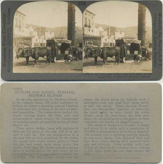 Ox Team and Sledge Carriage