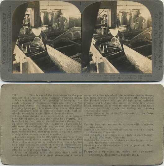 Cutting Logs in a Paper Mill