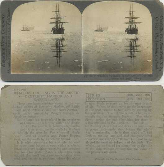 Whaling Ships in Arctic Ice