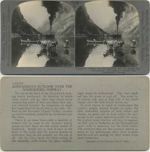 Fjord with Cows, Boat, and Steamer