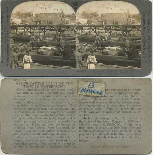 Cattle Boats at Tangier Waterfront