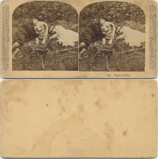 Children and Dog Resting