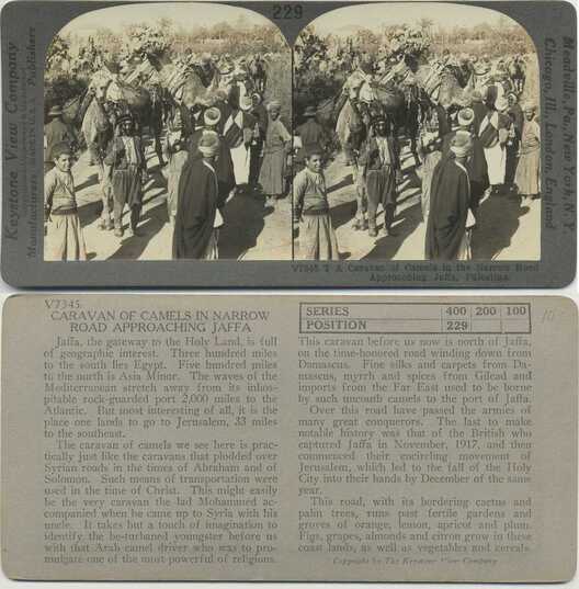 Camel Caravan Approaching Jaffa