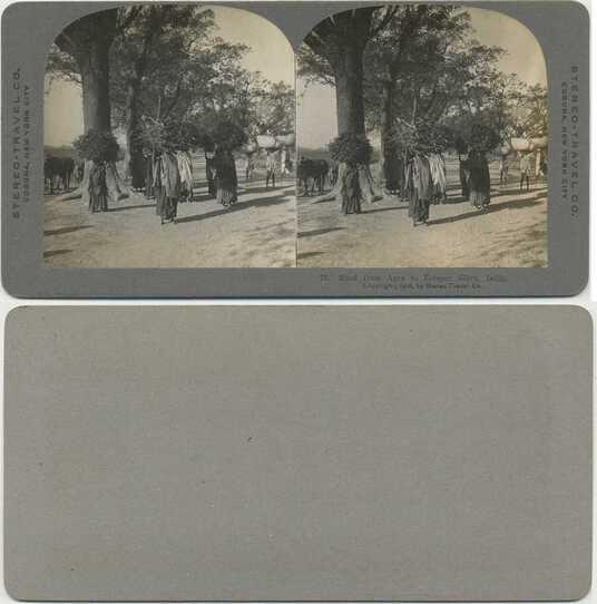 Road with people and animals