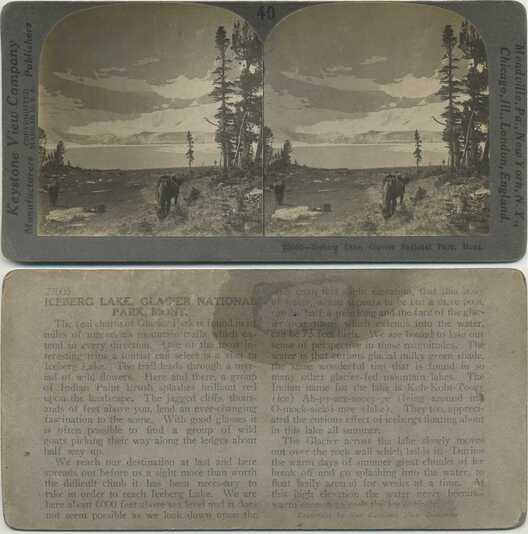 Mountain Lake with Icebergs