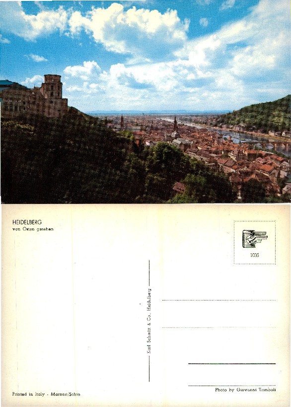 Heidelberg Castle and City View