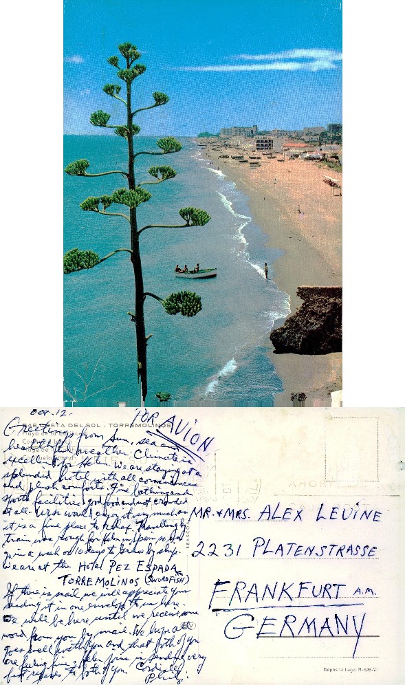Coastal Beach Scene with Tall Plant