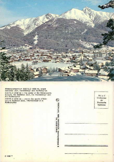 Winter Village in Snowy Mountains
