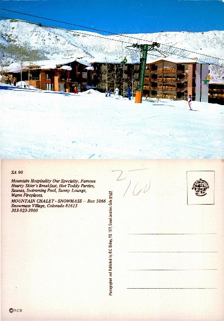 Ski Resort with Chairlift & Lodges