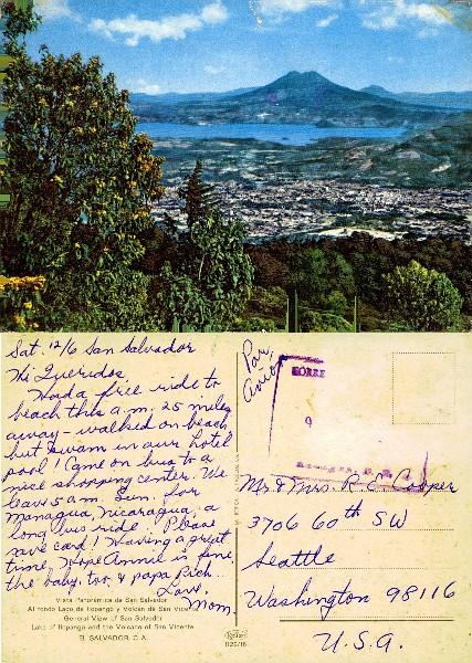 City, Lake, and Volcano Vista