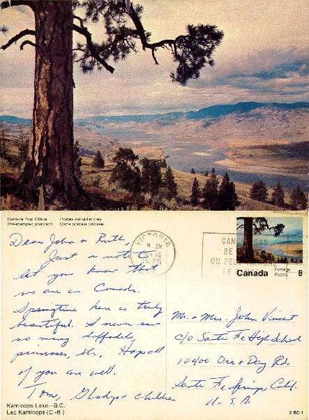 Kamloops Lake Landscape with Pine Tree