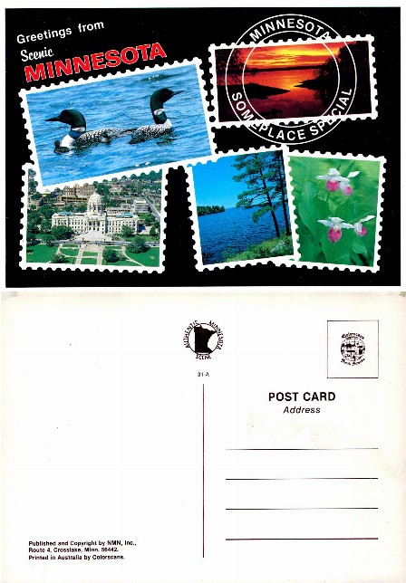 Minnesota State Collage