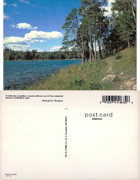 Northern Lake with Forest and Trail
