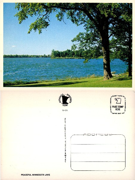 Lake Shore with Trees and Grass