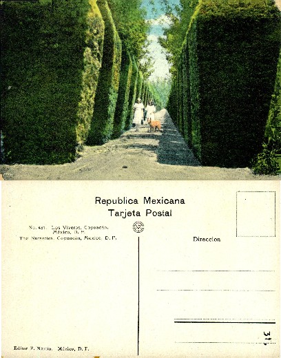 Children & Dog in Hedge Path