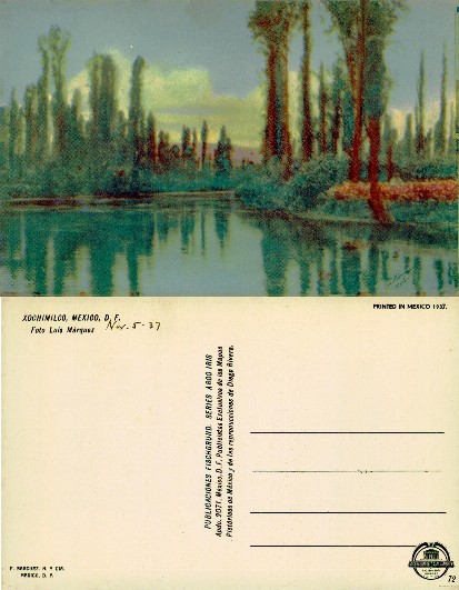 Xochimilco Canal with Cypress Trees