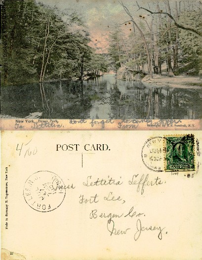 Wooded Stream in Bronx Park