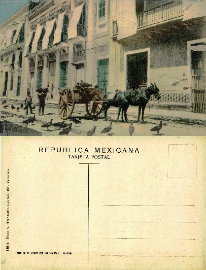 Street with horse cart and vultures
