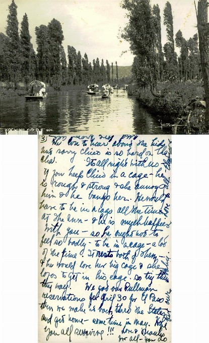 Boats on Canal Lined with Trees