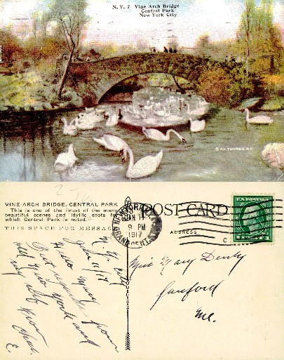 Vine Arch Bridge with Swans