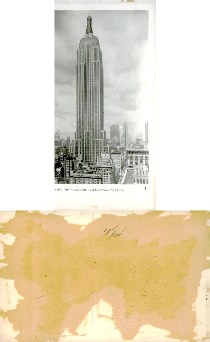 Empire State Building, City View