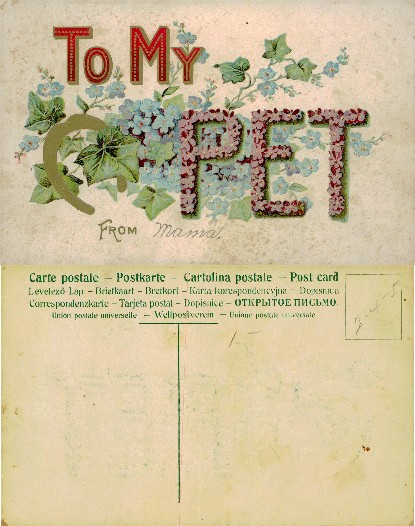 To My Pet Floral Postcard