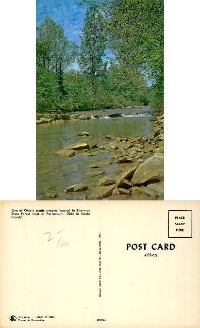 Forest Stream with Rocks and Falls