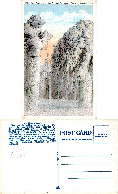Ice Formation on Trees