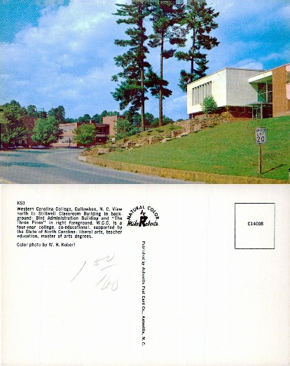 College Buildings and Pine Trees